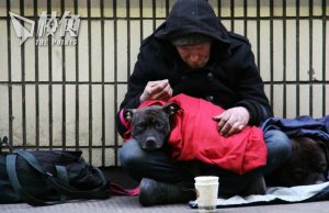 調查:倫敦露宿者12000人創新高 英國公民佔逾四成