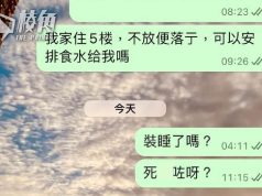 市民多次求助關愛隊不果 麥美娟:已經超標達KPI要求