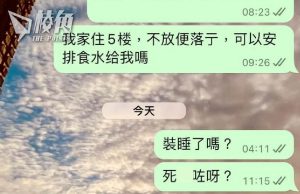 市民多次求助關愛隊不果 麥美娟:已經超標達KPI要求