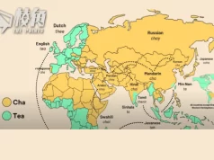 【皮毛小知識】源自華語的日常英語用字!(繁體中文字幕)