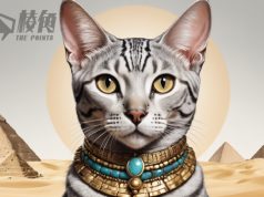 【皮毛小知識】人類養貓的起源,古埃及如何讓自己和後世的人成為貓奴!?(繁體中文字幕)