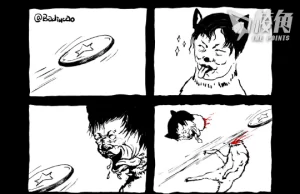 【Badiucao 巴丟草】 漫畫《叼飛盤》送給老胡錫進