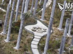 【馮睎乾十三維度】心經簡林,到底是否風水毒蛇陣?