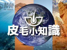 【皮毛小知識】沒有必要知道但好有趣的4個地球冷知識!第二集 (繁體中文字幕)