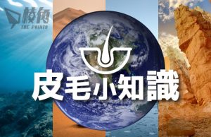 【皮毛小知識】沒有必要知道但好有趣的4個地球冷知識!第二集 (繁體中文字幕)