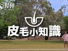 【皮毛小知識】移民澳洲6年,徹底改變了我這個終極城市人的10件事 (繁體中文字幕)