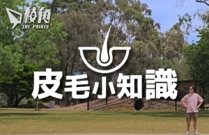 【皮毛小知識】移民澳洲6年,徹底改變了我這個終極城市人的10件事 (繁體中文字幕)