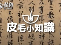 【皮毛小知識】為何中文同時是最容易但又最難學的語言 (繁體中文字幕)