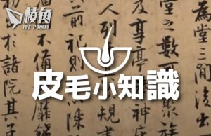 【皮毛小知識】為何中文同時是最容易但又最難學的語言 (繁體中文字幕)