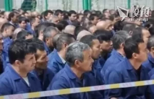 報道指新疆茄膏疑滲透歐洲市場 中國官媒撰社評反駁