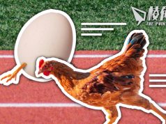 【皮毛小知識】先有雞還是先有蛋?以四個不同角度回答 (繁中字幕)