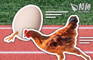 【皮毛小知識】先有雞還是先有蛋?以四個不同角度回答 (繁中字幕)