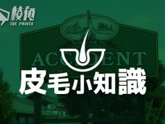 【皮毛小知識】拆解16個奇異搞笑地方名的由來! (繁中字幕)